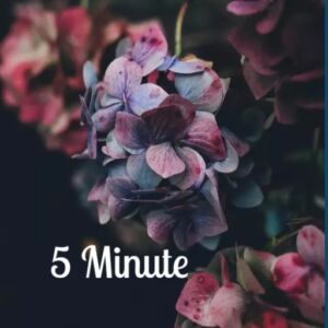 5 Minutes